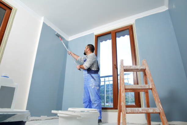 Best Water-Damaged Drywall Repair  in Versailles, PA